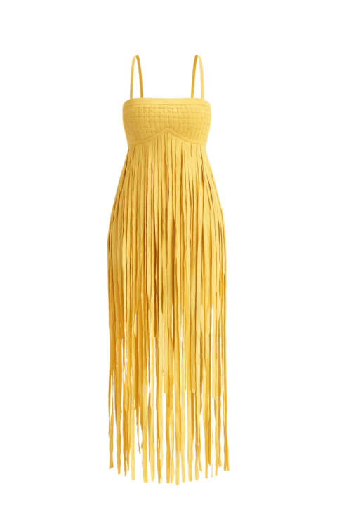 Yemi Fringe Dress