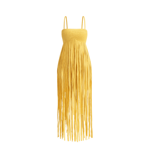 Yemi Fringe Dress